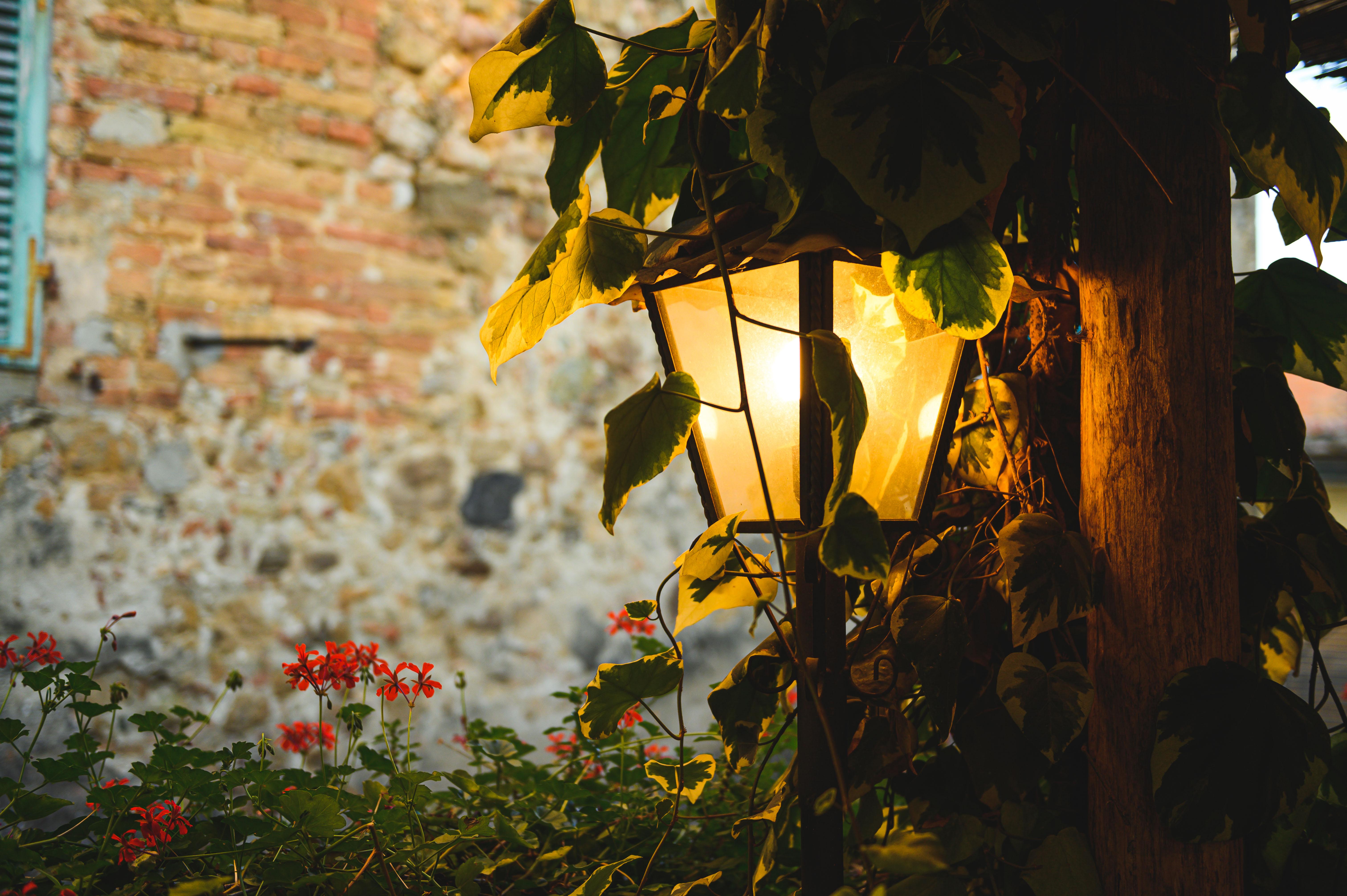Hotel Palazzo Del Capitano Wellness E Relais San Quirico dʼOrcia Exteriér fotografie